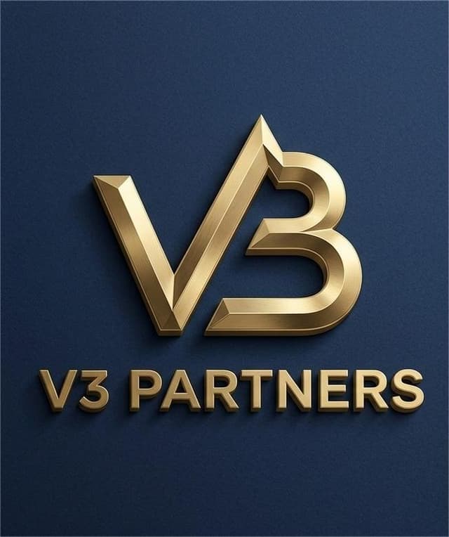V3 PARTNERS